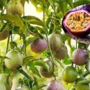 첨단세탁 이미지