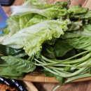 무연식당