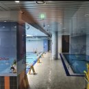 삼정스포츠 이미지