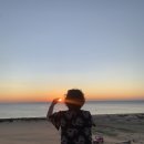 행복희 | 엄마랑 나트랑 판랑사막 선라이즈 투어 프라이빗 말고 그룹으로 나트랑 산티아고투어