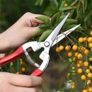 큰나무몰 이미지