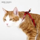 도그데이즈 이미지