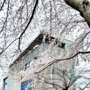 방어진노인복지관 이미지