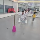 센텀 THE 바른 태권도·택견 이미지