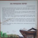 경상북도 안동시 풍천면행정복지센터 | 뚜벅뚜벅 나 홀로 안동여행 1박2일🚅🚌