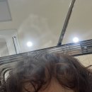 6395 | 상왕십리 센트라스 1인 미용실 더단(The : 단) 추천｜셋팅펌, 열펌 후기, 손상모도 만족했던 더단