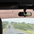 VVIP GYM | [탄자니아/게임드라이브 1일차] 타랑기레국립공원/사자가족 영접/롯지 VVIP 대접을 받다..