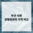 리오성형외과의원 | 부산 서면 성형외과의 가격 비교