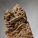 (주) 유니콘인터내셔날 | 살아 있는 박물관(글 : 리처드 코니프, 사진 : 크레이그 커틀러)