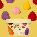 아이스팝 | [편의점 SNS핫템]프로즌 팝 소르베, 아이스생초콜릿(초코/말차) 내돈내산 후기