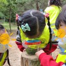 수영동산어린이집 이미지