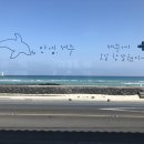 세화엘라
