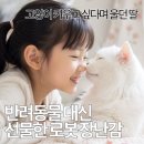분홍고양이 | 아이코코 vs 미니코코 차이점 비교🐱고양이 키우고 싶다는 6살 딸에게 사준 로봇 고양이 후기