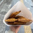 6학년 대학원 실습 후기