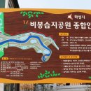 비봉인조잔디구장 이미지