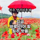 서곡리 마을회관 | 원주 여행 가볼만한곳 용수골 양귀비축제 리뷰