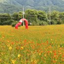 구례군청소년수련원 이미지