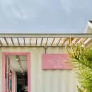 댕댕그라운드 이미지