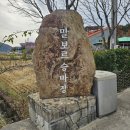 말보르승마장 이미지