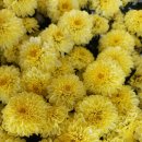 나라가 임하시오며 뜻이 하늘에서 이루어진 것 같이 땅에서도 이루어지이다(&#39;페북두란노서원66&#39; 중에서) 이미지