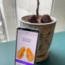 리얼노래방