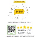 521펫살롱 이미지