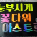 꽃다워