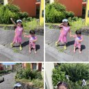 스테이만디 | 아이들과 함께한 햇살 가득 제주 여행 2일차 🌴☀️ : 스위스마을 제주숙소, 만디와산 제주카페