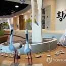 예산황새공원문화관 연합뉴스
