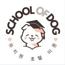 오브독 | 스쿨오브독 주차 편리 한 곳의 매장 위치와 주차
