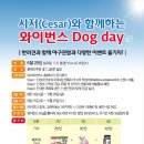 고Dog 이미지