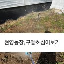 현영농장 이미지