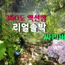 202408 보라싸리버섯 / 360도 액션캠 리얼솔박 이미지