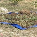 오원농장 이미지