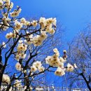 바람불어 좋은날 이미지