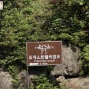 포레스트벨리 | 서울 근교 캠핑장 / 남양주 포레스트벨리캠프 후기