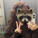Minev(미네브) | [가로수길 미용실 미네브] 강남/신사동/가로수길 미용실 추천