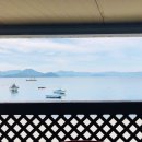 오고가고민박 이미지