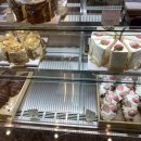 스테이어스(STAYUS) 이미지