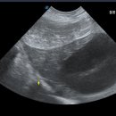 돌봄동물메디컬클리닉 이미지