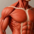 주월한방병원 이미지