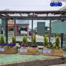 동송시장 이미지