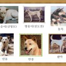 대조-008 이미지