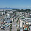 상무대로L 시사저널