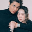 72 마이데일리