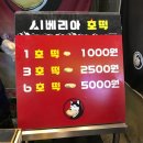 애자호떡 | [남부시장 맛집] 시베리아 호떡 가격/위치/후기