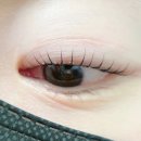 더래쉬 디자인스튜디오