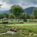 한반도섬 이미지