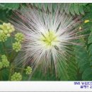 서건유통 이미지