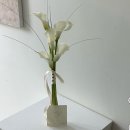 드마리플레 - 수원시 영통구 태장로 87 | 수원 꽃집 | 드마리플레 (웨딩촬영 서브부케 주문 후기)